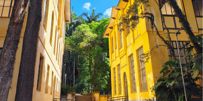 Um dia de descoberta e naturea: Museu da Imaginação e Parque Água Branca.