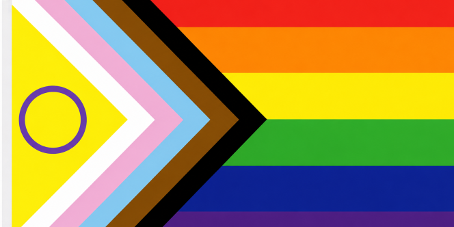 Bandeira LGBTQIAPN+