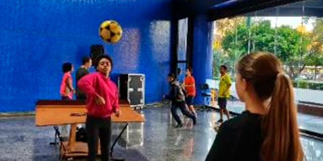 Futmesa