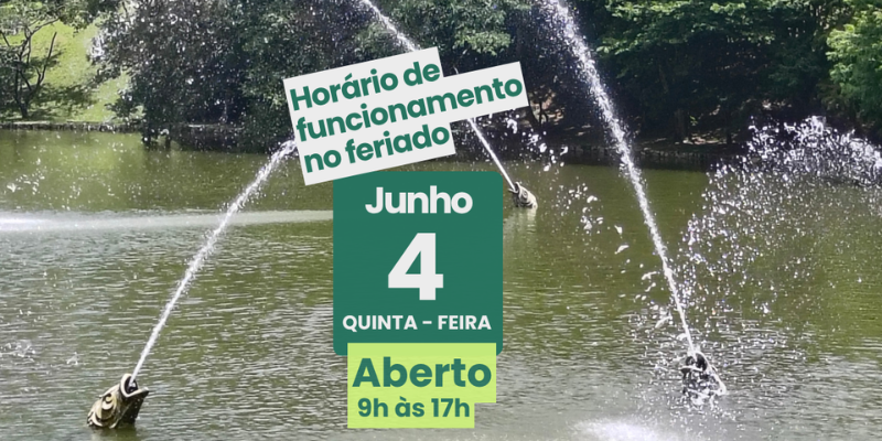 Imagem destacada sobre o post em questão.