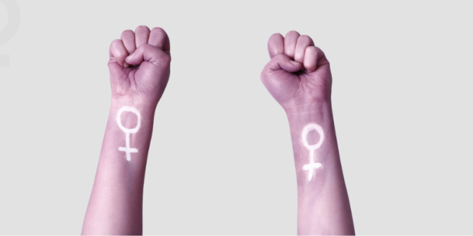 Os direitos das mulheres no Brasil - Divulgação
