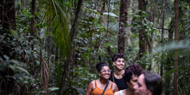 Banho de Floresta no Sesc Itaquera - Divulgação