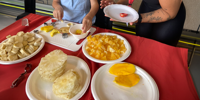 Foto Divulgação