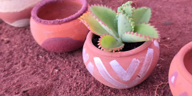Foto: Coletivo Odara