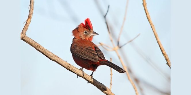 Foto: Silvio Rosatti
