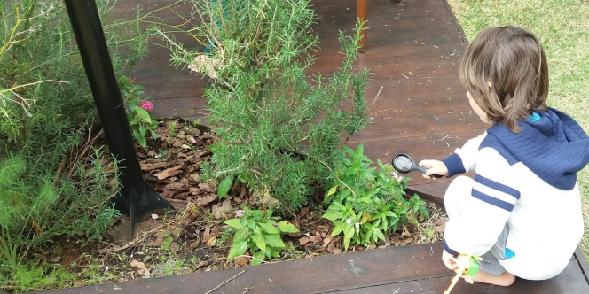 Plantas e Memórias - foto: Arumã Brasil