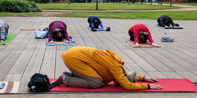 Aula aberta de Yoga com Hajla Shanti