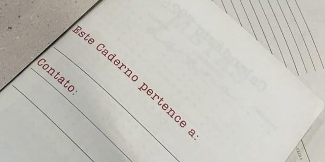 Divulgação
