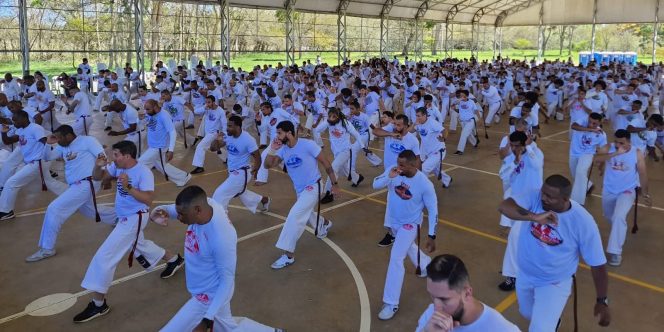 Acervo Abadá Capoeira