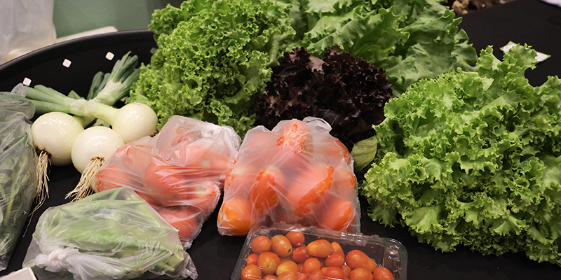 Imagem publicada pela fonte para Feira agroecológica