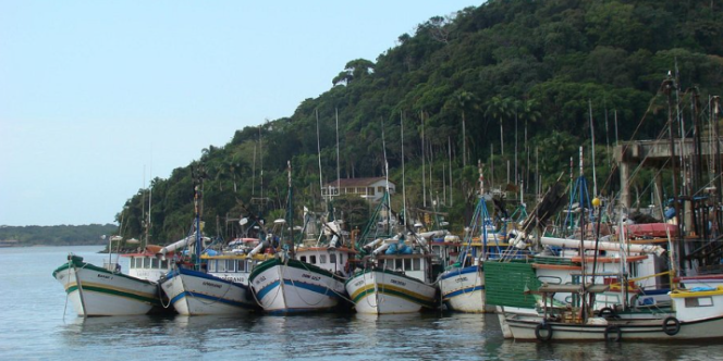 FT Divulgação