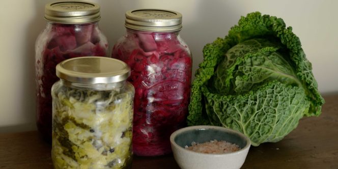 Alimentos vivos: fermentação na prática - divulgação