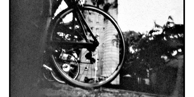 Edison Angeloni
