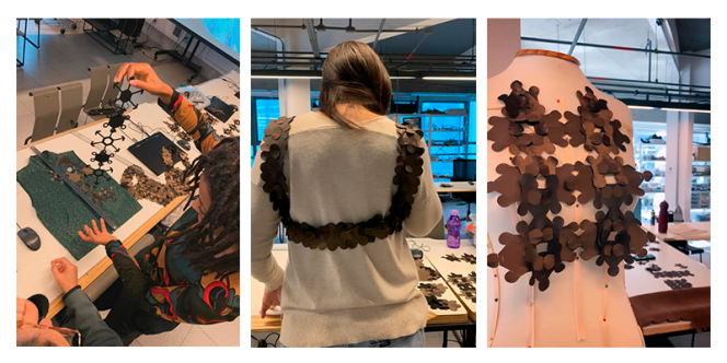 divulgação