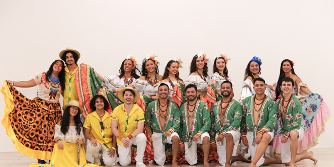 divulgação