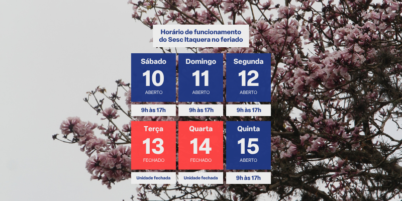 Imagem destacada sobre o post em questão.