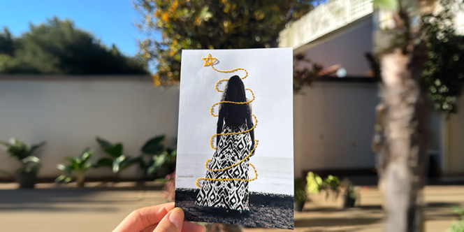 divulgação